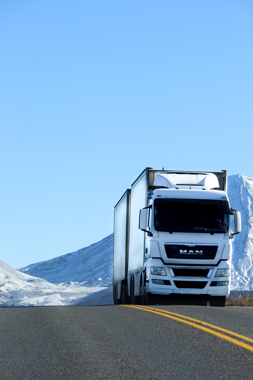 truck, road, vehicle, nature, snow, white, blue, lorry, transport, blue road, blue truck, blue snow